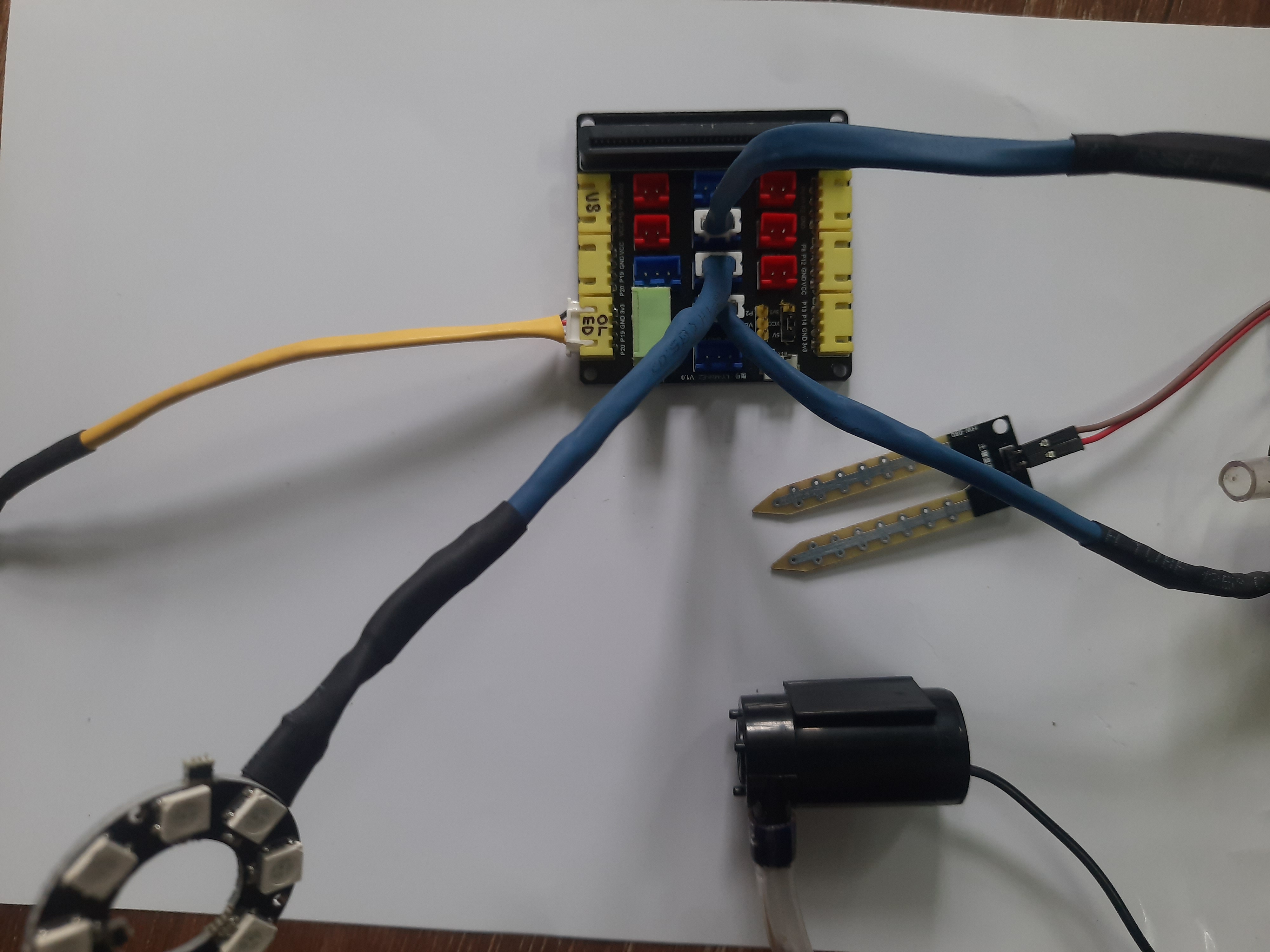 Smart plant watering connection